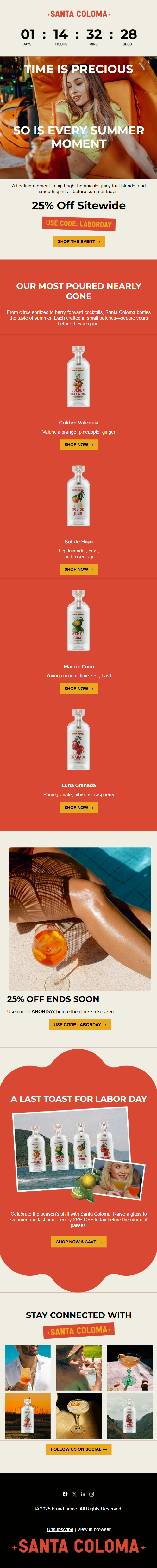 Seasonal offer email template preview